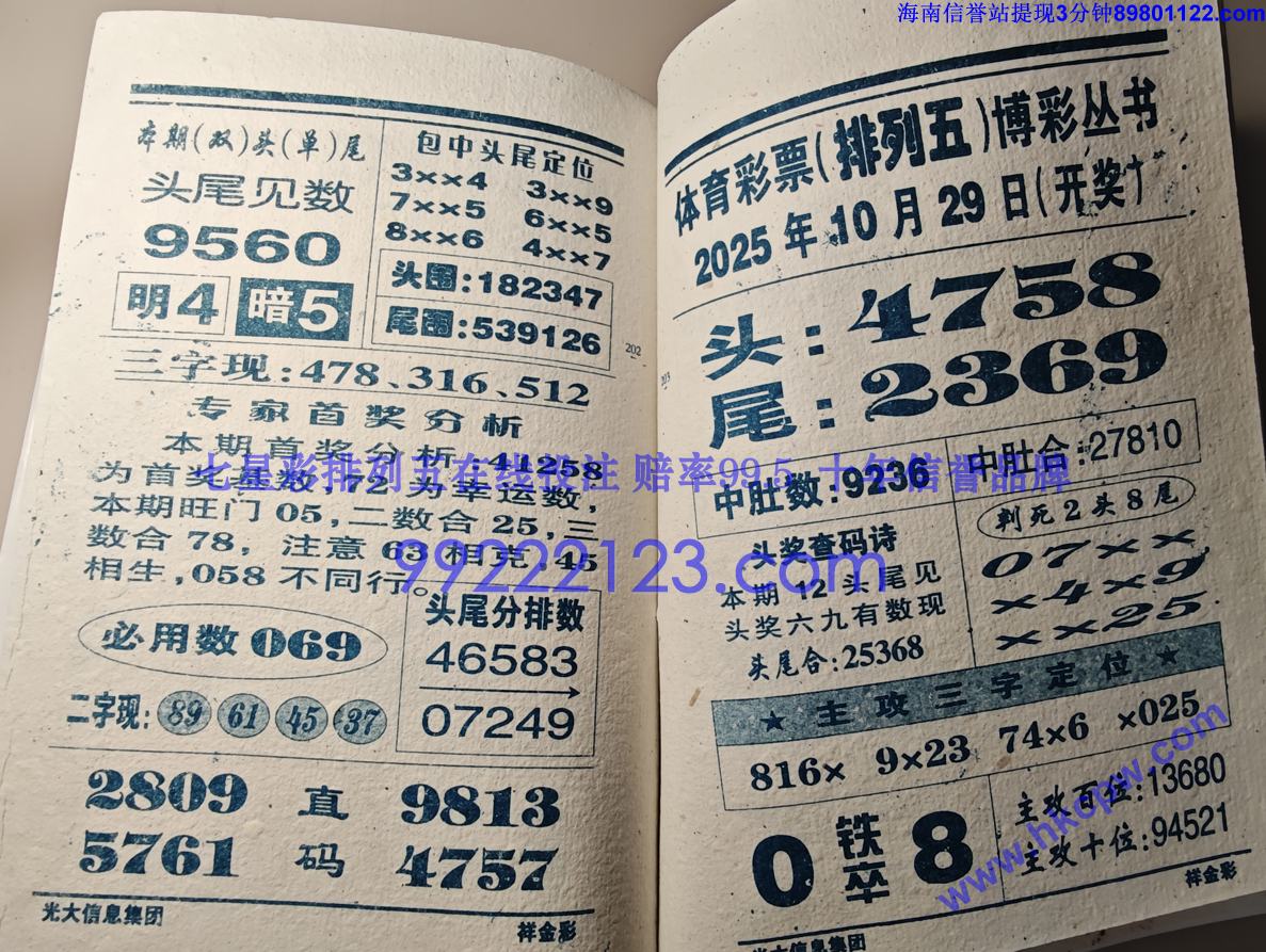  (97).jpg