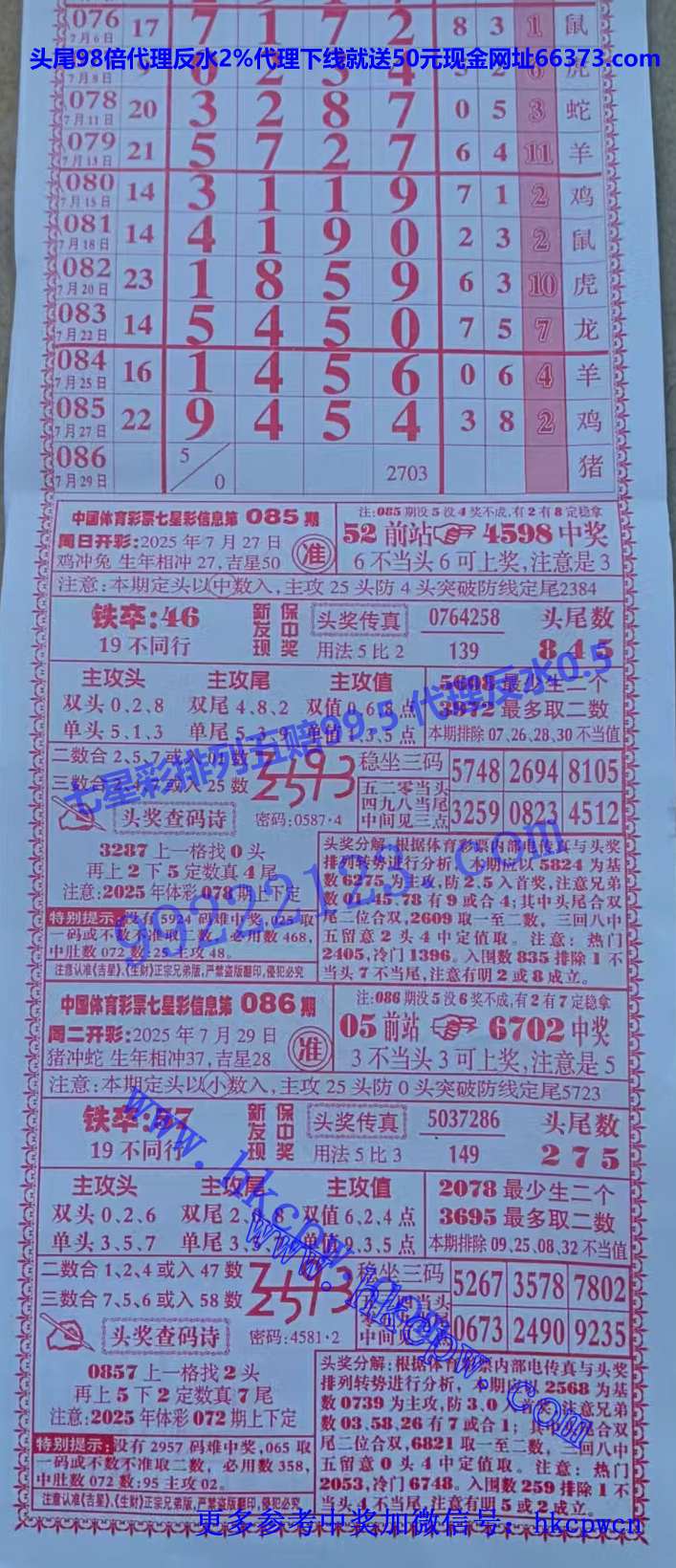 ���� (1).jpg