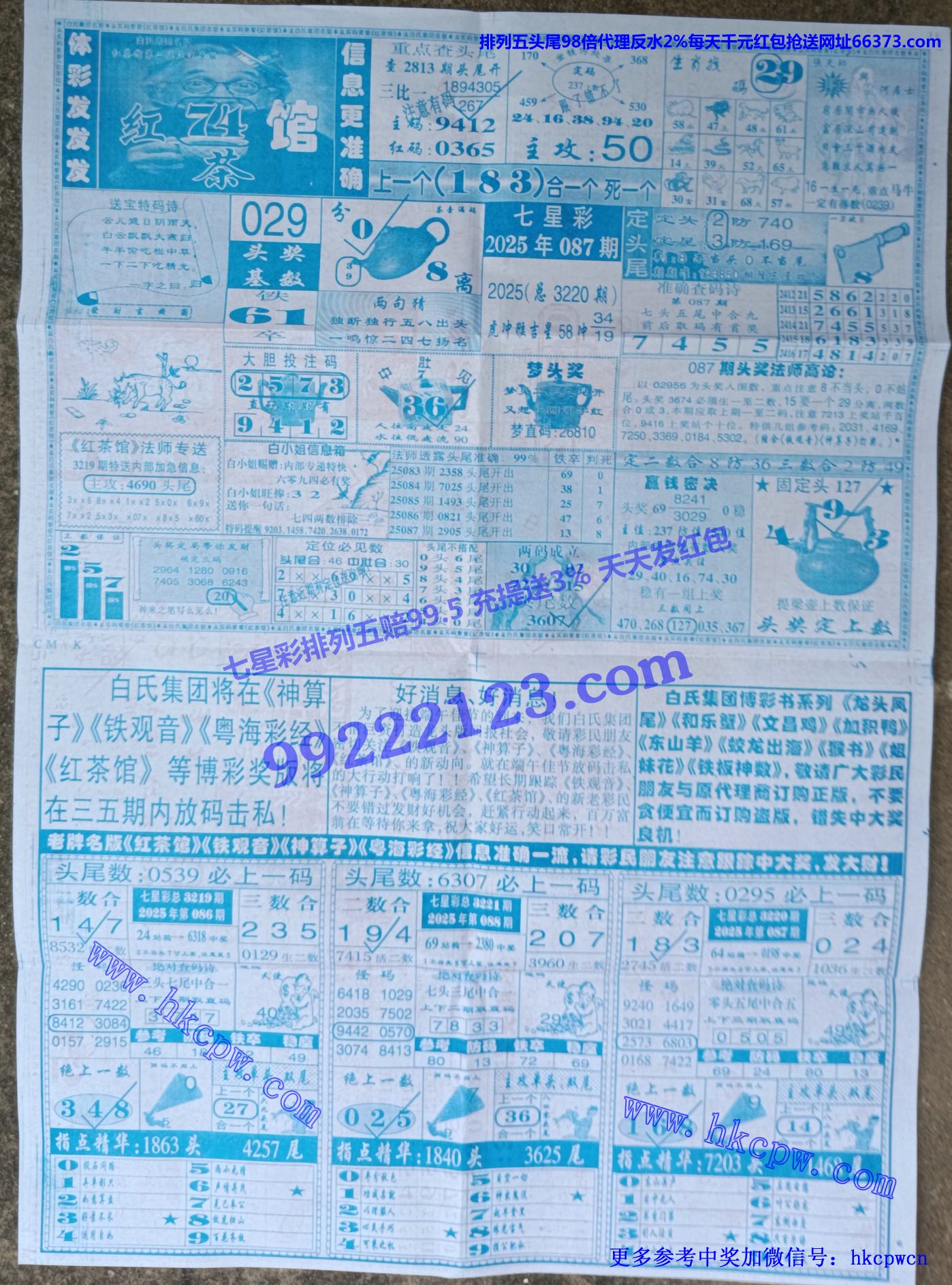 ���� (2).jpg