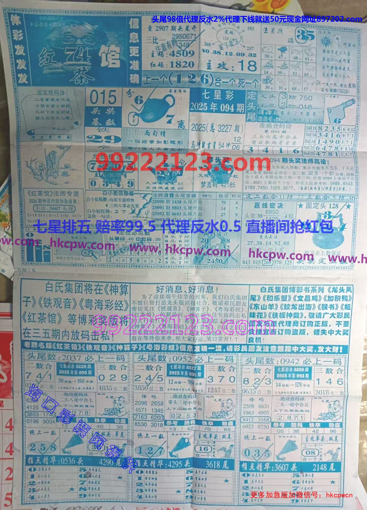 ���� (2).jpg