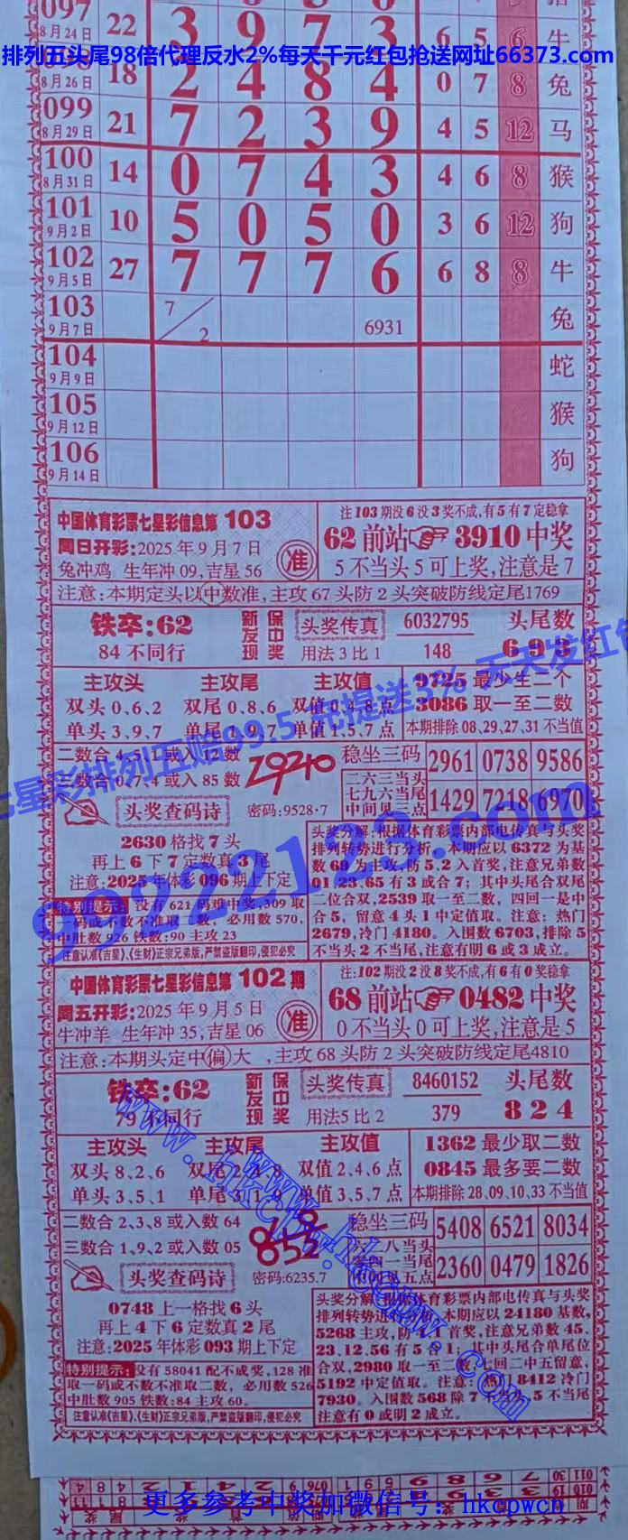 ���� (1).jpg