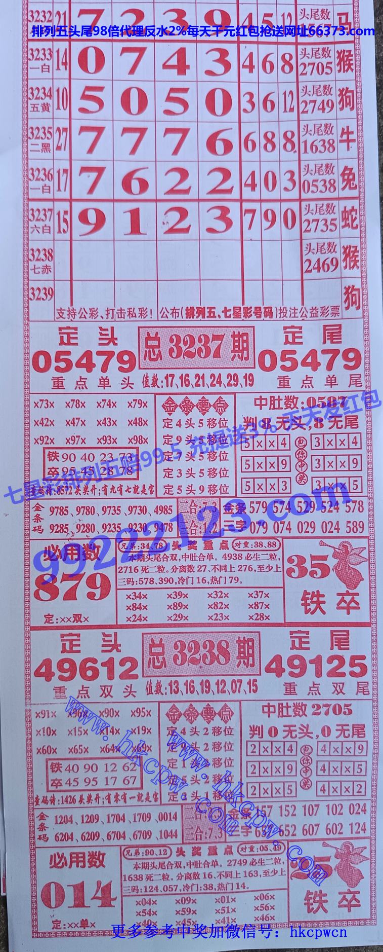 ���� (1).jpg