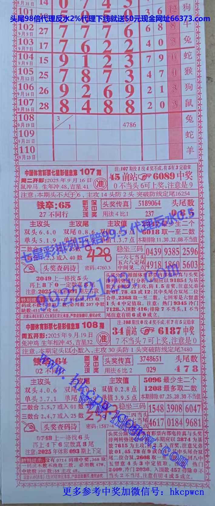 ���� (1).jpg