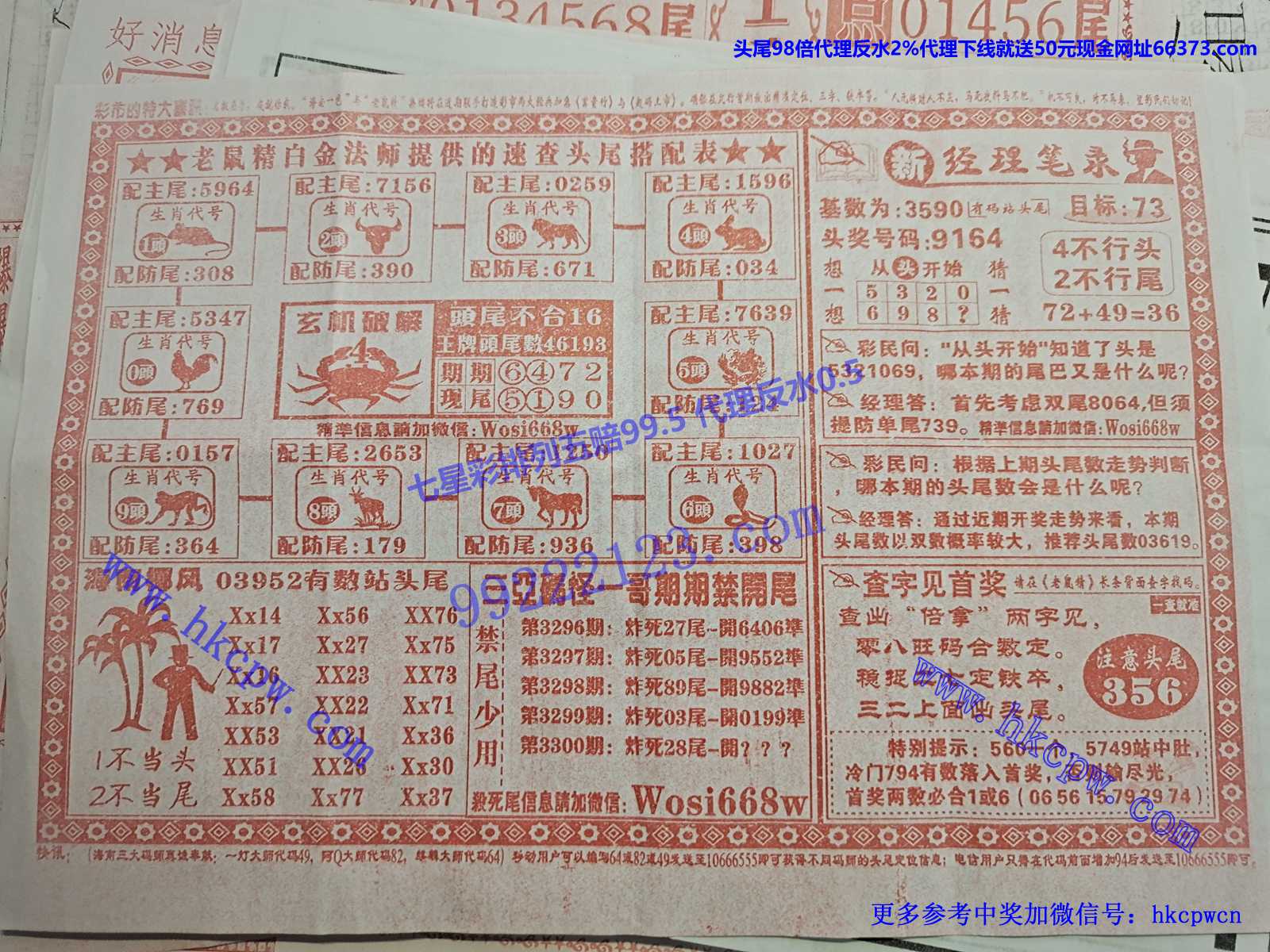 ͷβ������ B.jpg